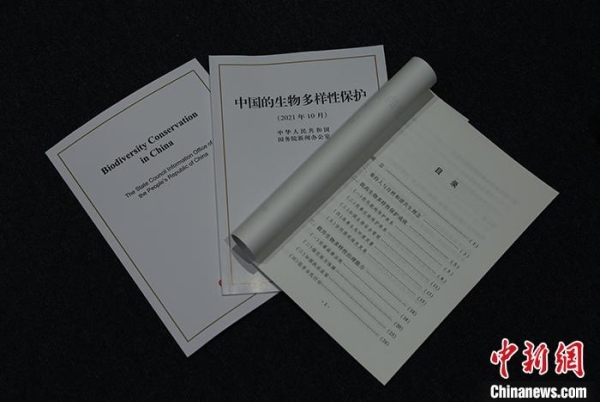 黄A无码片内射无码视频