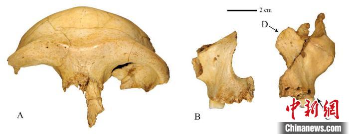 黄A无码片内射无码视频