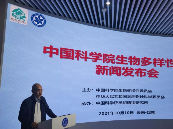 黄A无码片内射无码视频