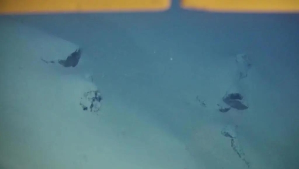 黄A无码片内射无码视频