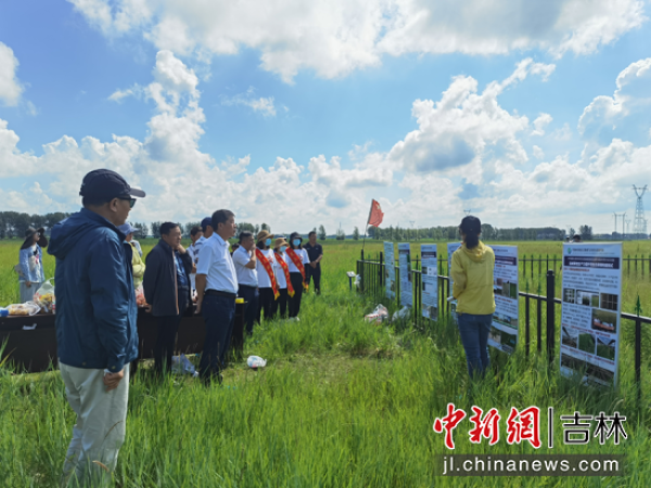 黄A无码片内射无码视频