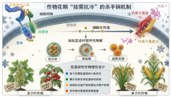 黄A无码片内射无码视频