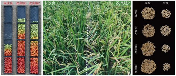 黄A无码片内射无码视频
