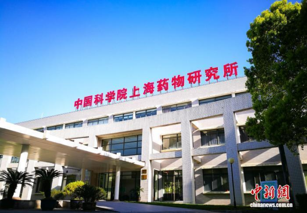 黄A无码片内射无码视频