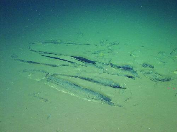 黄A无码片内射无码视频