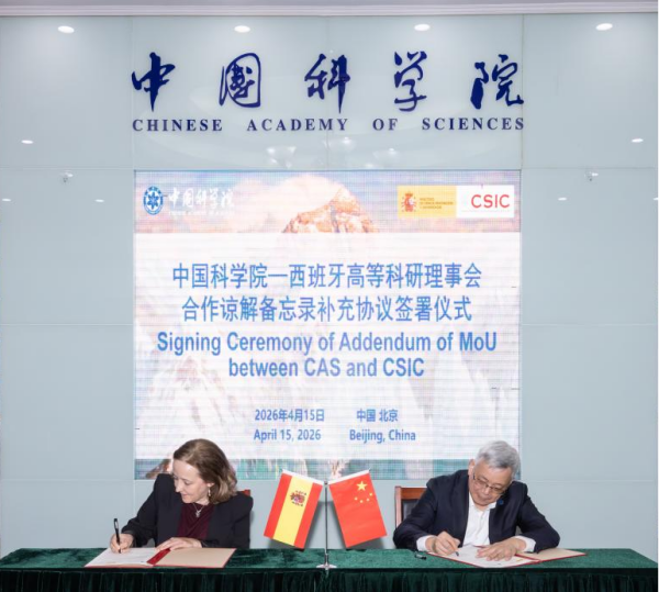 黄A无码片内射无码视频