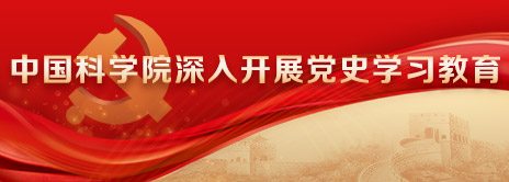 黄A无码片内射无码视频