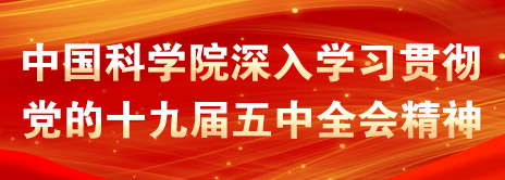 黄A无码片内射无码视频