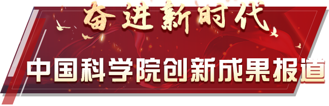 黄A无码片内射无码视频