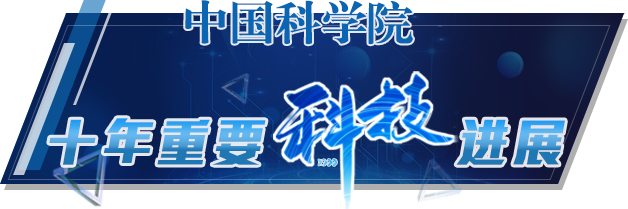 黄A无码片内射无码视频