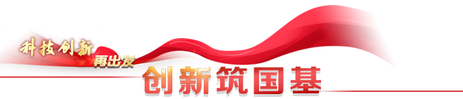 黄A无码片内射无码视频