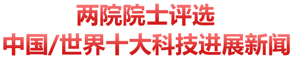黄A无码片内射无码视频