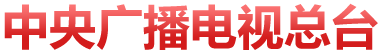 黄A无码片内射无码视频