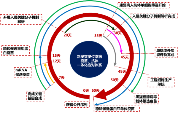 黄A无码片内射无码视频