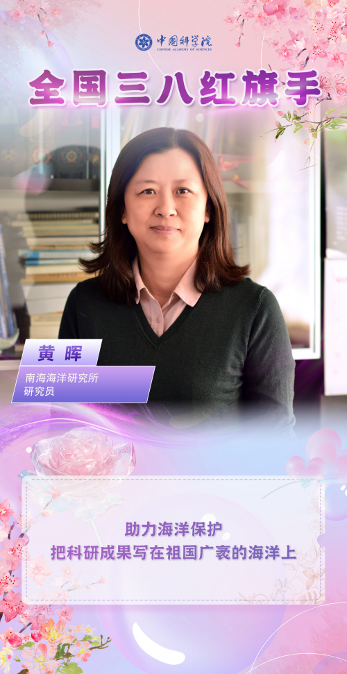 黄A无码片内射无码视频