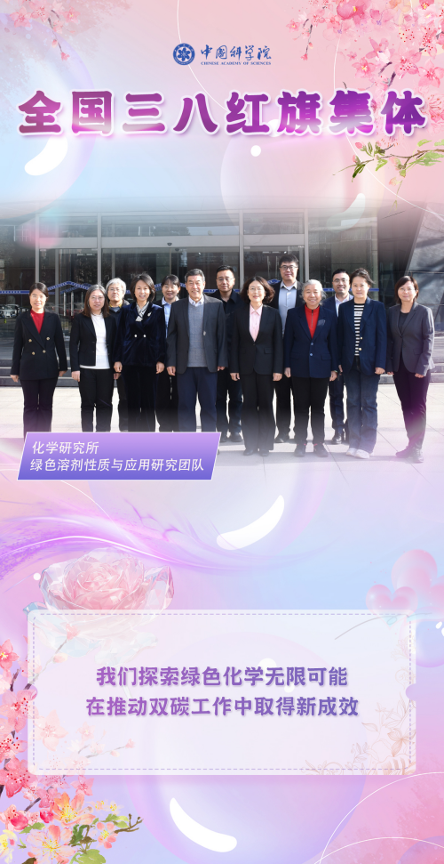 黄A无码片内射无码视频