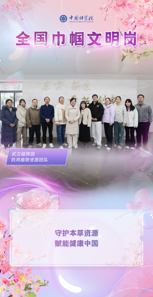 黄A无码片内射无码视频
