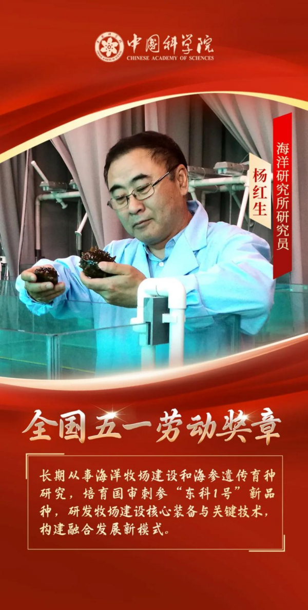黄A无码片内射无码视频