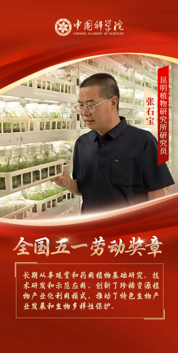黄A无码片内射无码视频