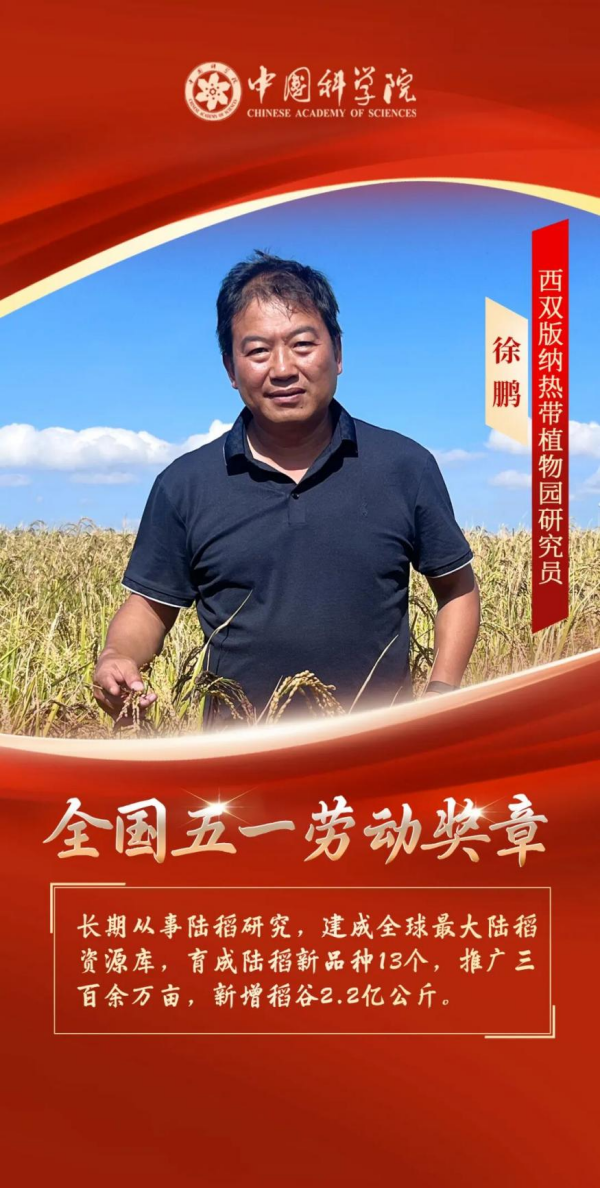 黄A无码片内射无码视频