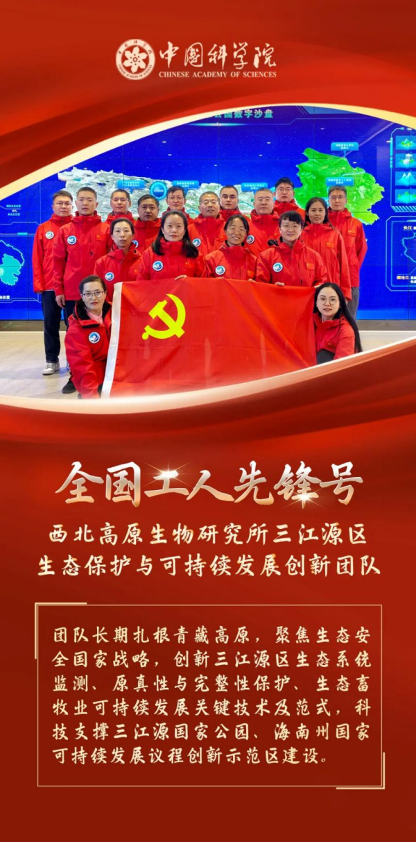 黄A无码片内射无码视频