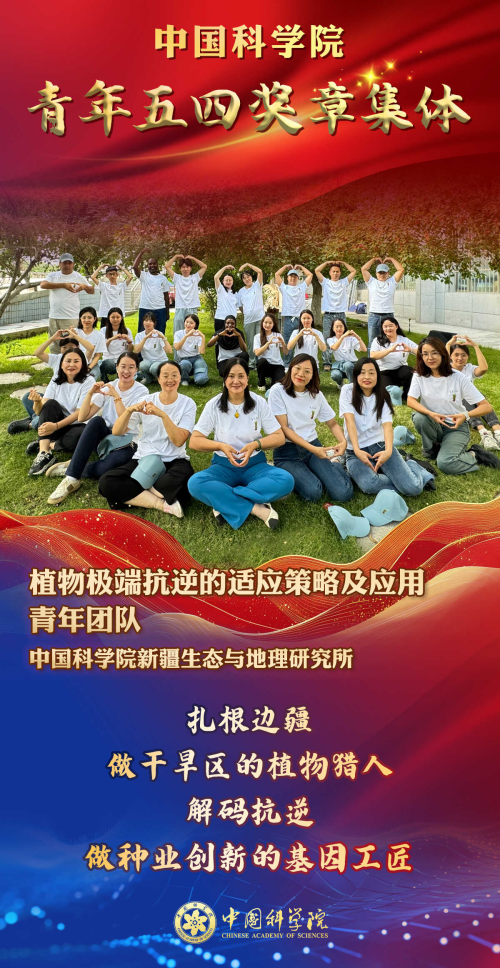 黄A无码片内射无码视频