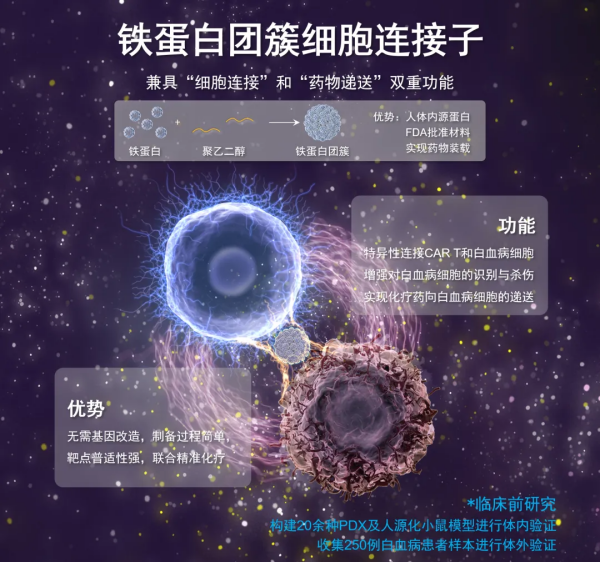 黄A无码片内射无码视频