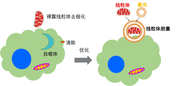 黄A无码片内射无码视频