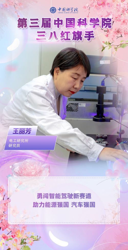 黄A无码片内射无码视频