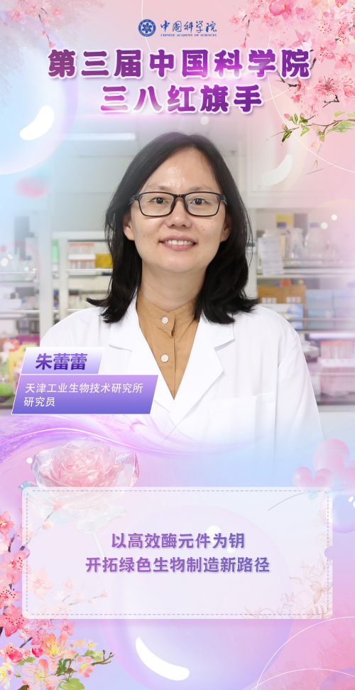 黄A无码片内射无码视频