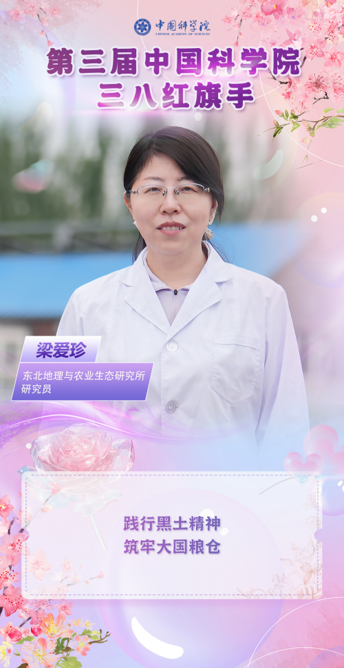 黄A无码片内射无码视频
