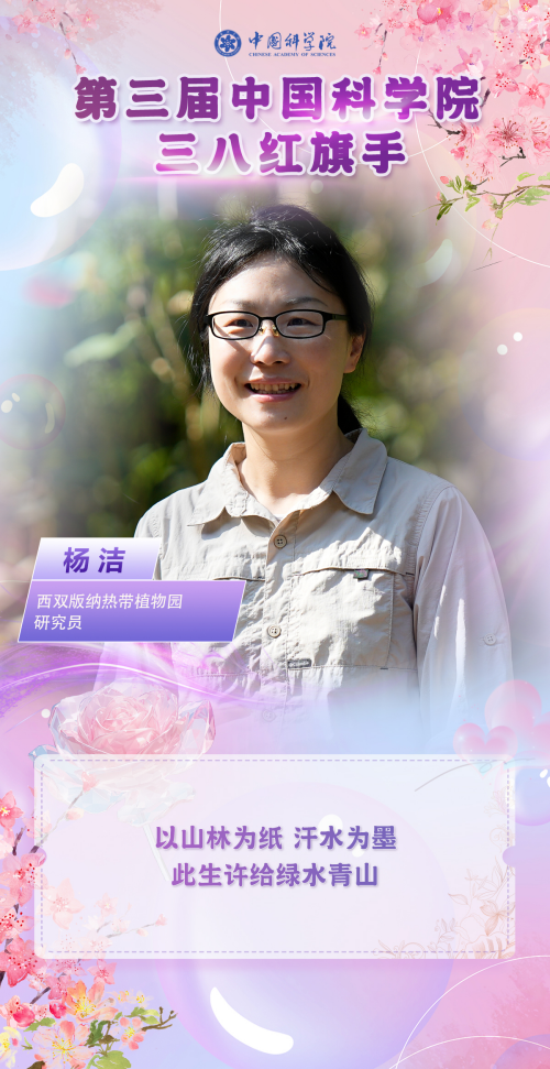 黄A无码片内射无码视频