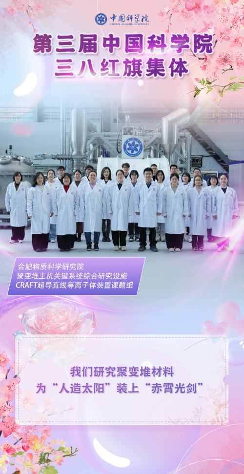 黄A无码片内射无码视频