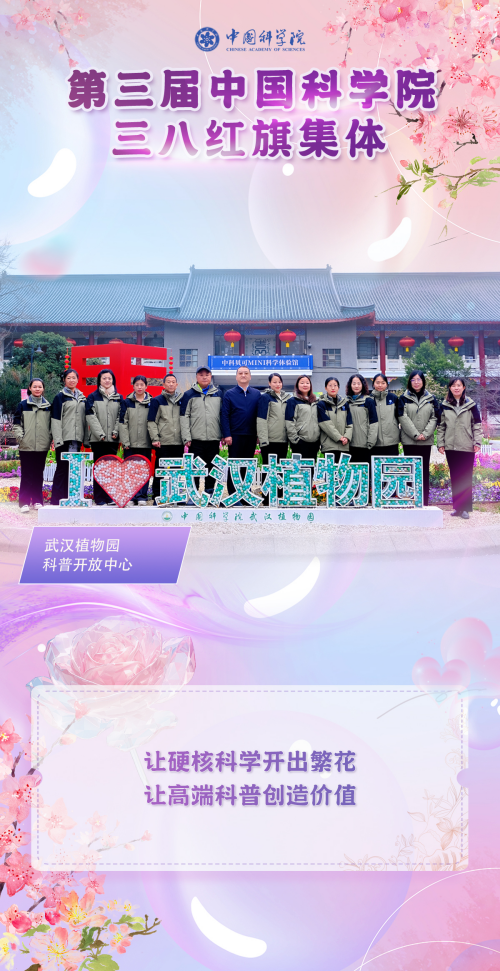黄A无码片内射无码视频