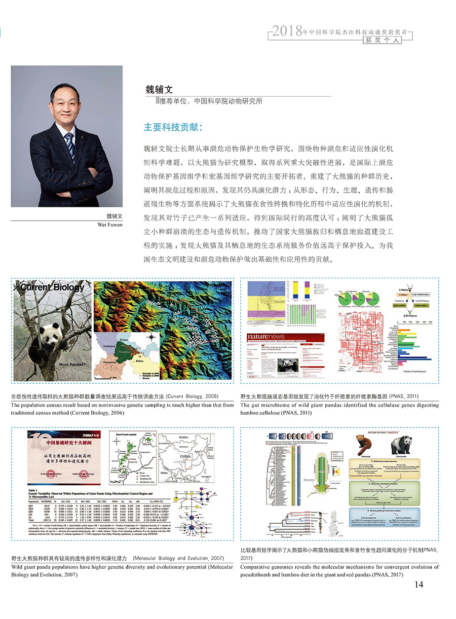 黄A无码片内射无码视频