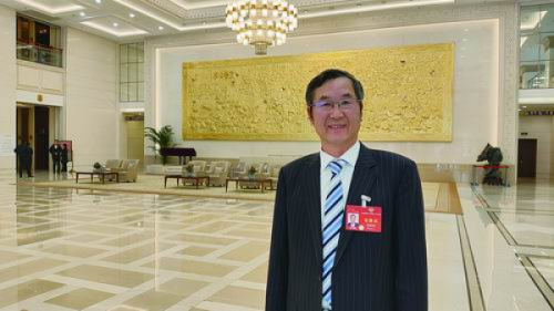 黄A无码片内射无码视频