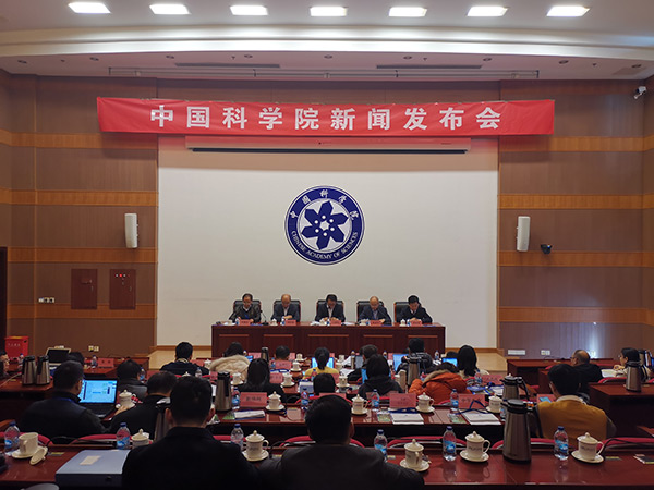 黄A无码片内射无码视频