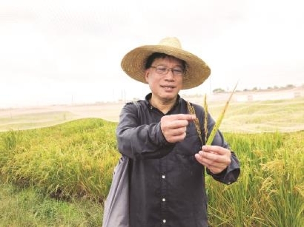 黄A无码片内射无码视频