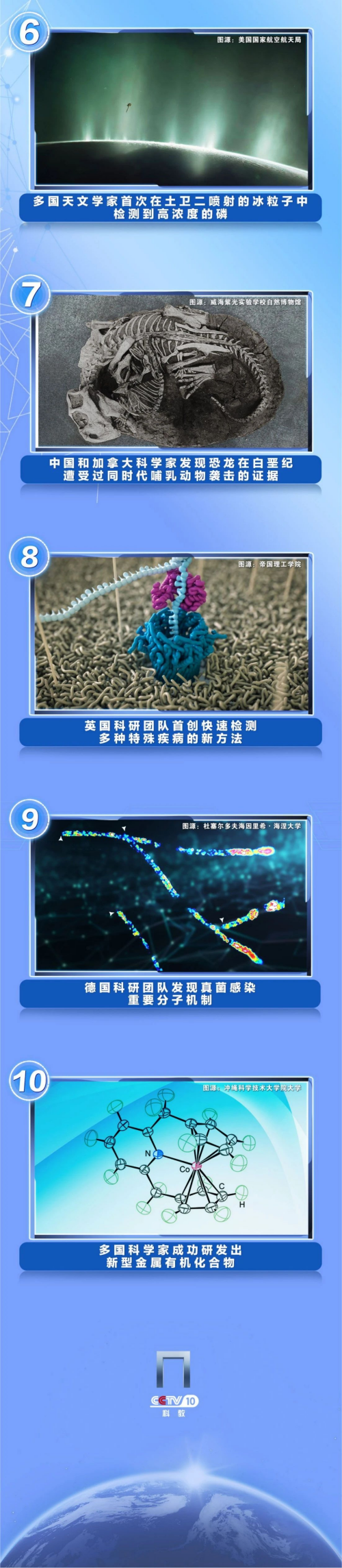 黄A无码片内射无码视频