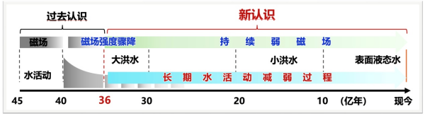 黄A无码片内射无码视频