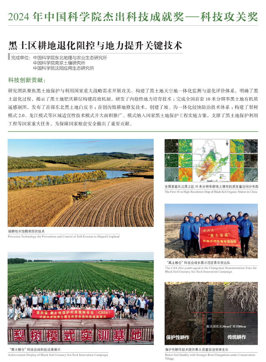 黄A无码片内射无码视频