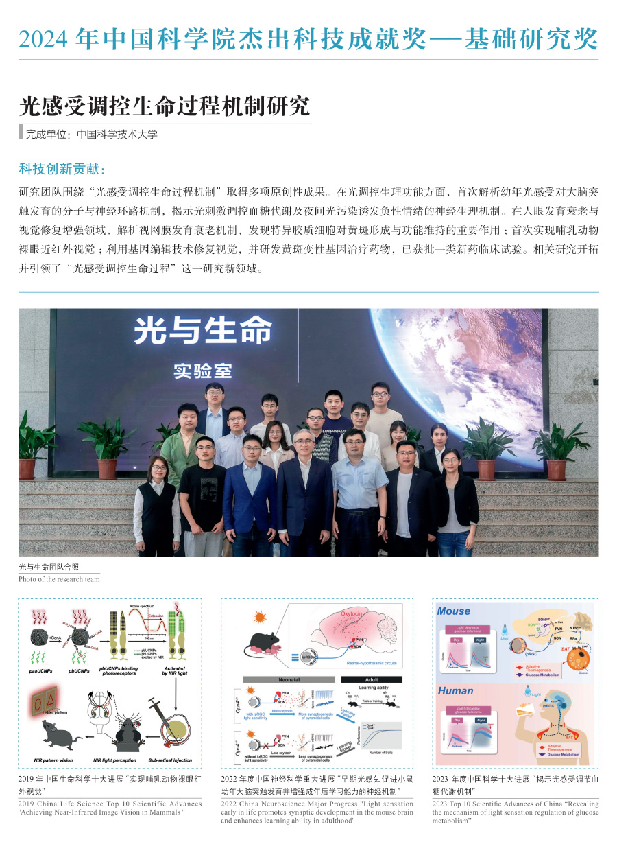 黄A无码片内射无码视频