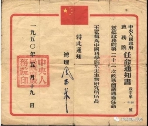 黄A无码片内射无码视频