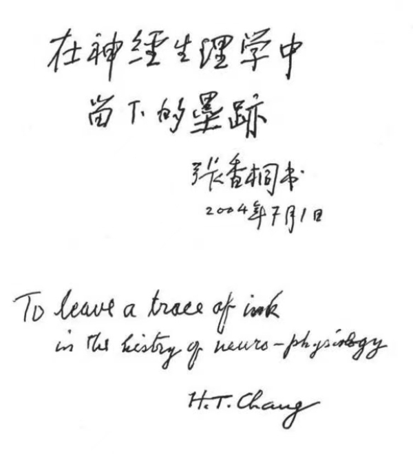 黄A无码片内射无码视频