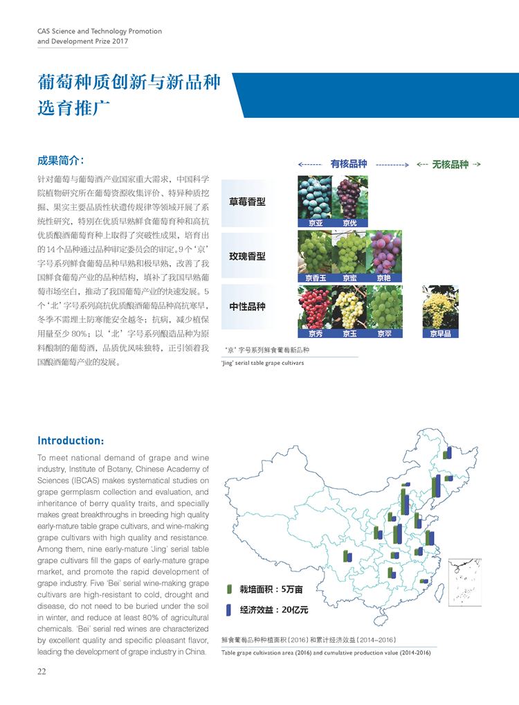 黄A无码片内射无码视频