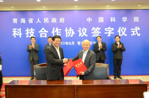 黄A无码片内射无码视频