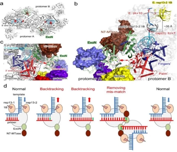 黄A无码片内射无码视频