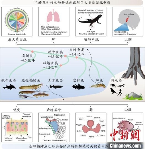 黄A无码片内射无码视频