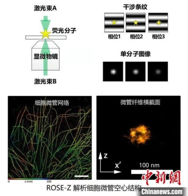 黄A无码片内射无码视频