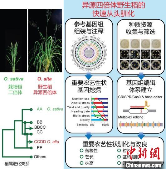 黄A无码片内射无码视频